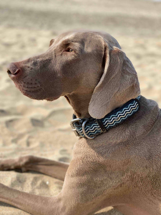 CALIDOG Waves "micro" collection.