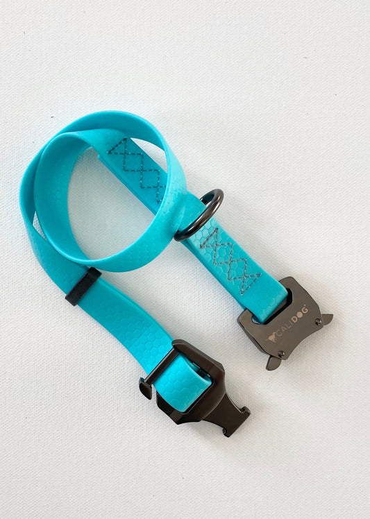 Aquamarine Waterproof Dog Collar