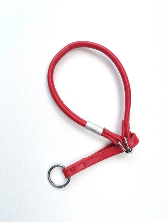 Red Martingale Dog Collar