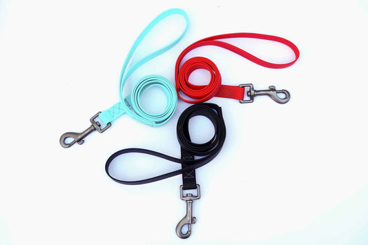 Waterproof CaliDog Leash