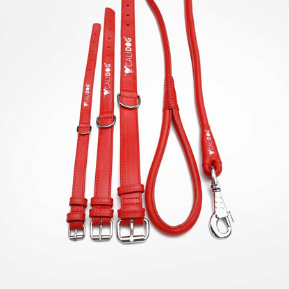 Red Dog Collar and Leash Set