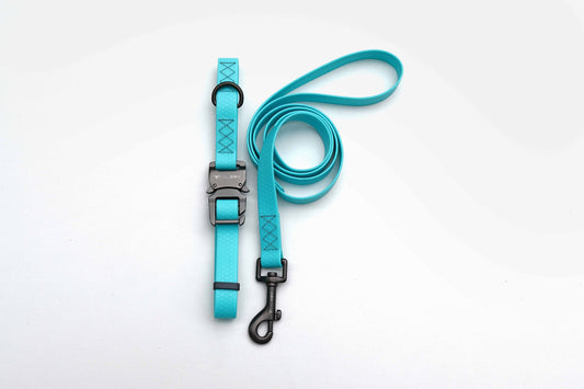 Aquamarine Waterproof Dog Collar and Leash Set