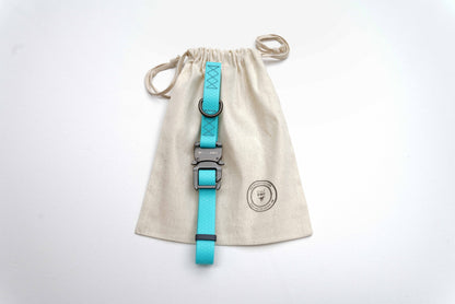 Aquamarine Waterproof Dog Collar and Leash Set