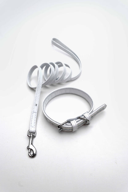 White Dog Collar and Leash Set