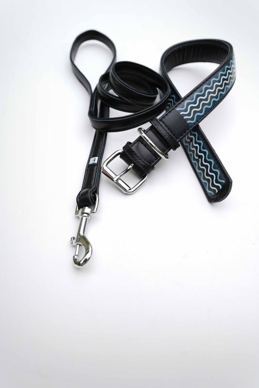 Cali Waves Dog Leash Collar Set