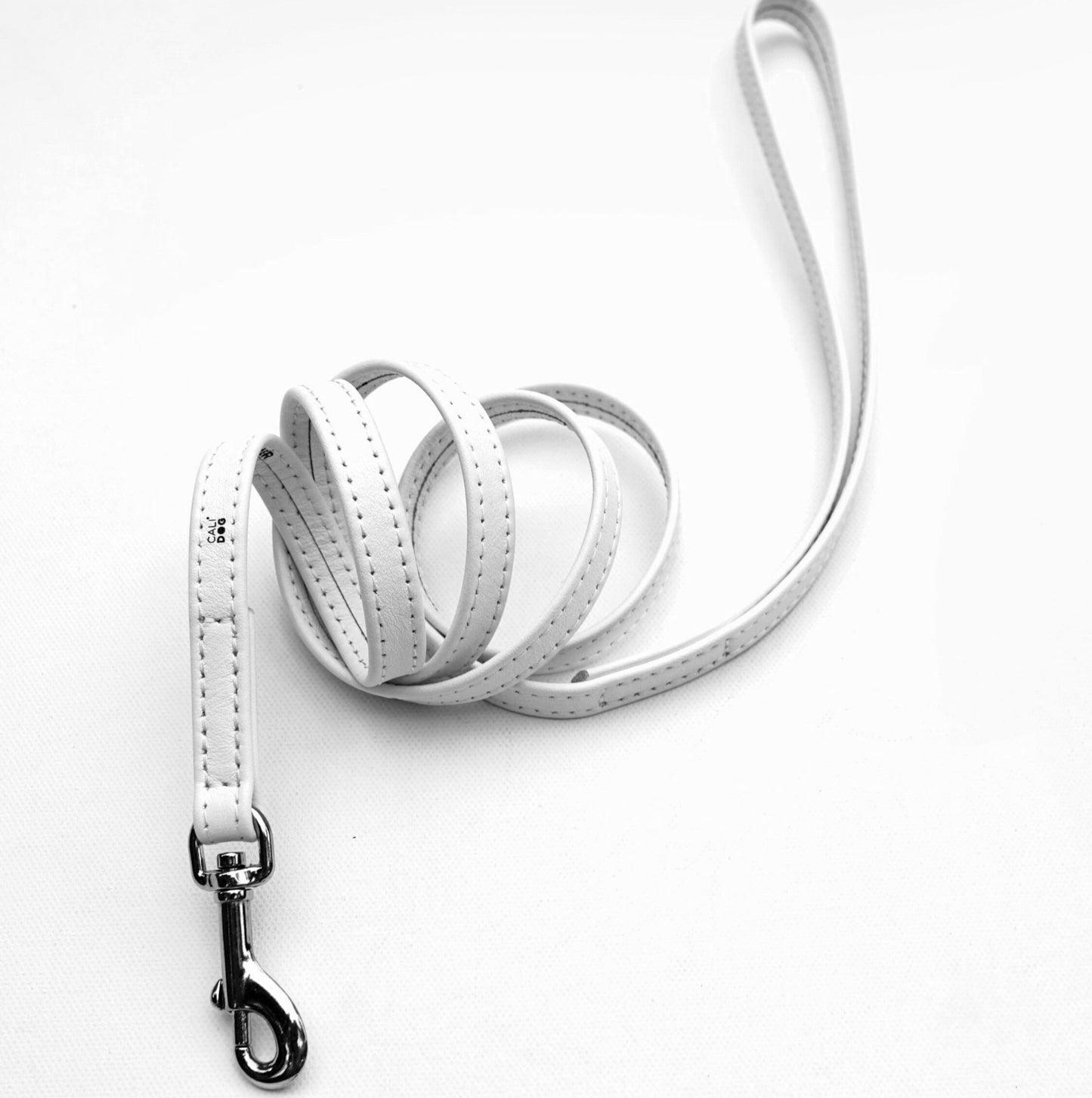 White Dog Leash