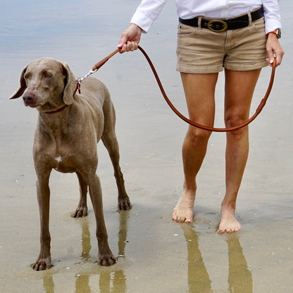 Rolled Leather Brown Dog Leash