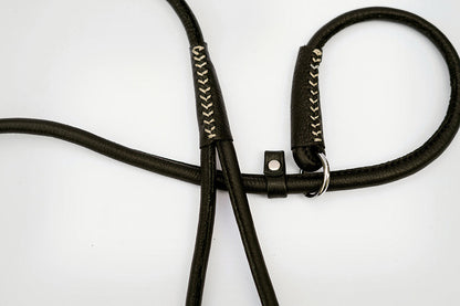 Leather Dog Slip-Leash