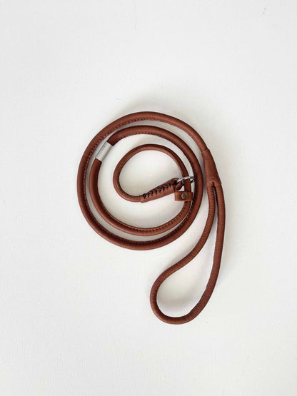 Leather Dog Slip-Leash