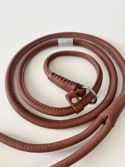 Leather Dog Slip-Leash