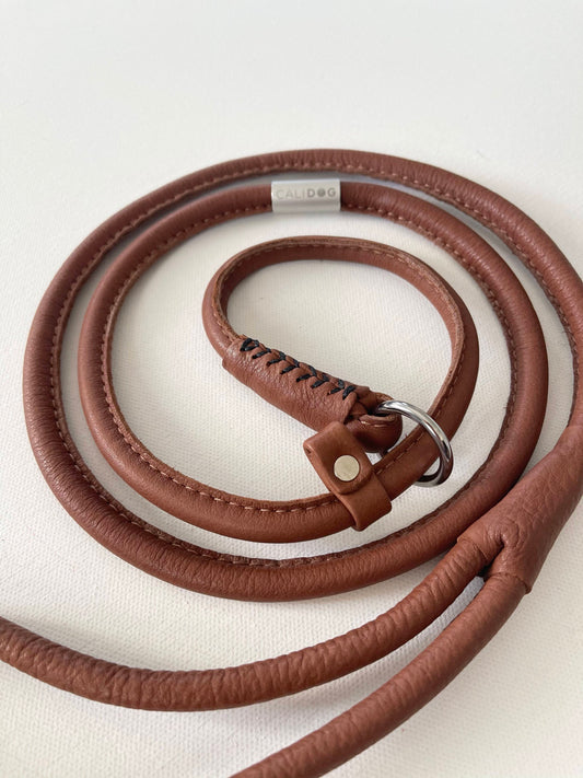 Leather Dog Slip-Leash