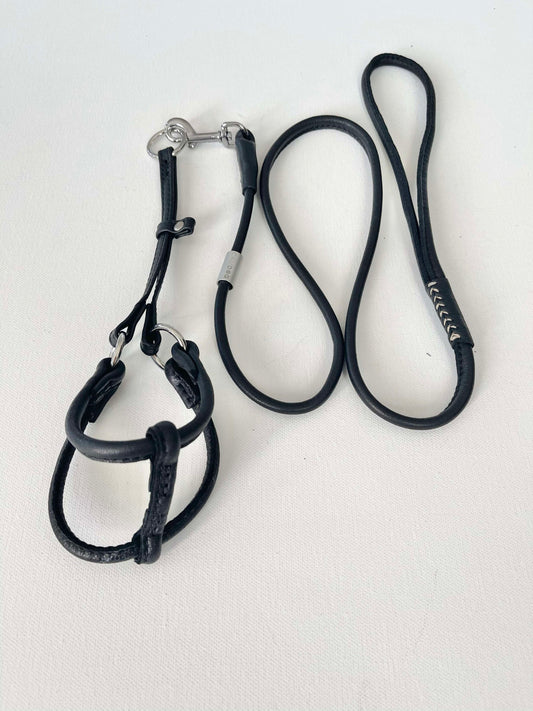 Rolled Leather Dog Leash and Harness Black Set