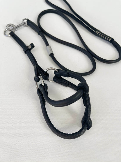 Rolled Leather Dog Leash and Harness Black Set