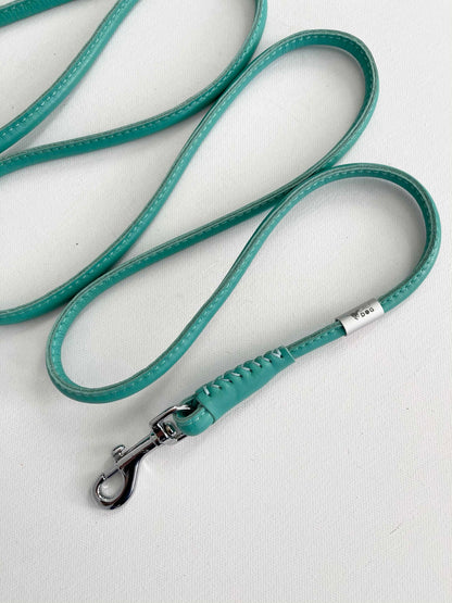 Mint Rolled Leather Dog Collar and Leash Set