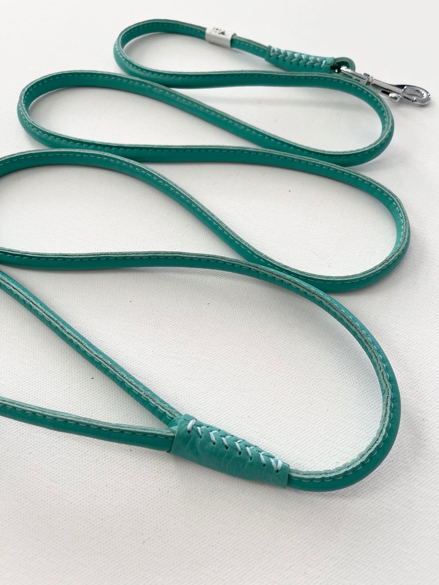 Rolled Leather Mint Dog Leash