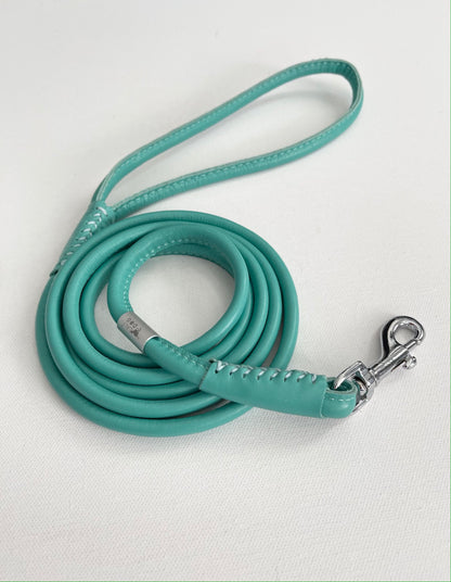 Rolled Leather Mint Dog Leash