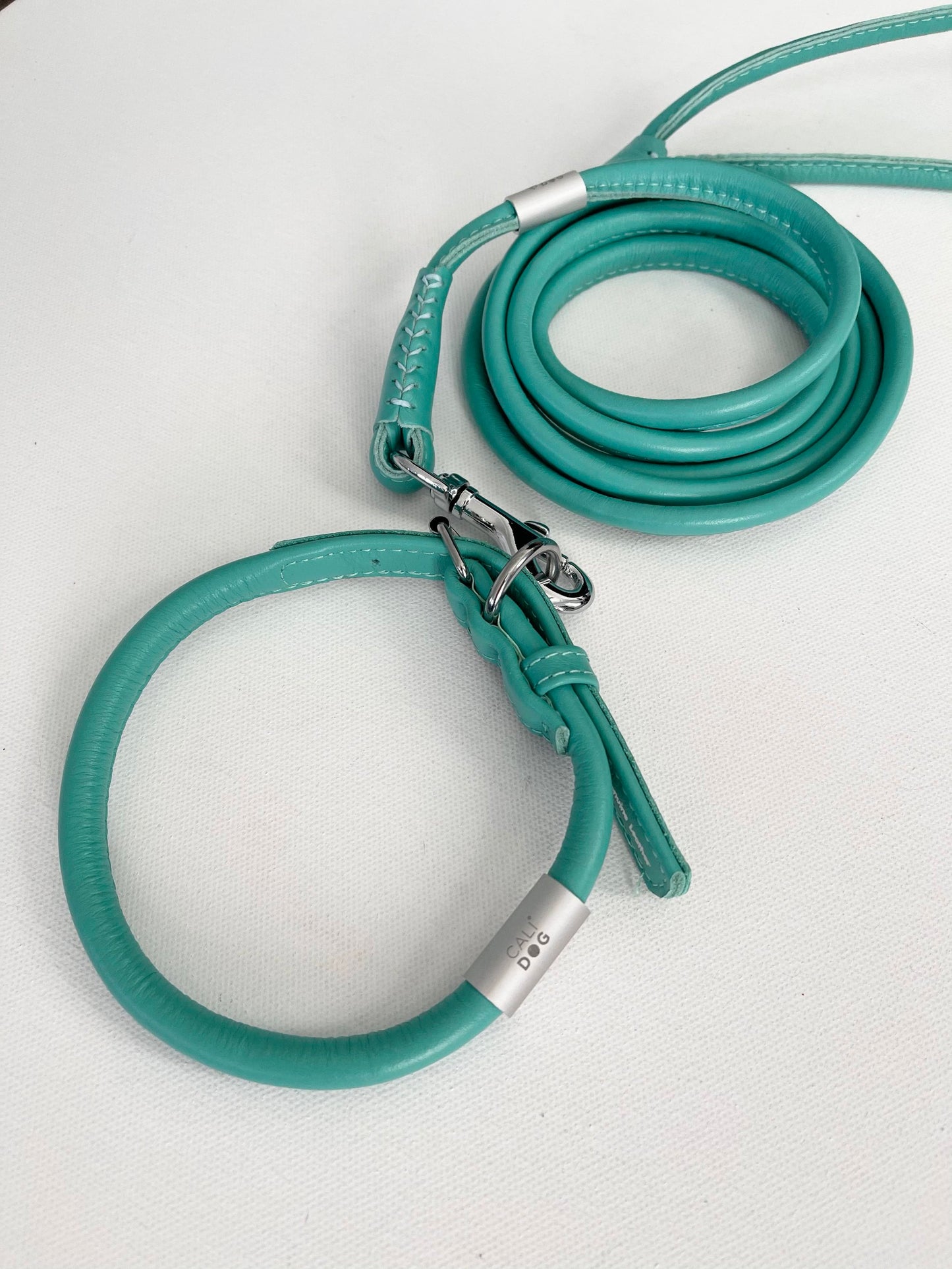 Mint Rolled Leather Dog Collar and Leash Set