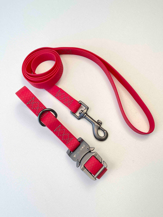 Waterproof Dog Collar and Leash Set