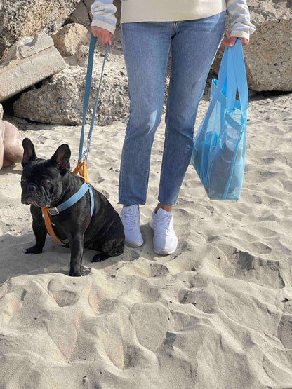 Beach Set: Waterproof Dog Collar and Leash, Beach Bag, Towel and Dog Bowl