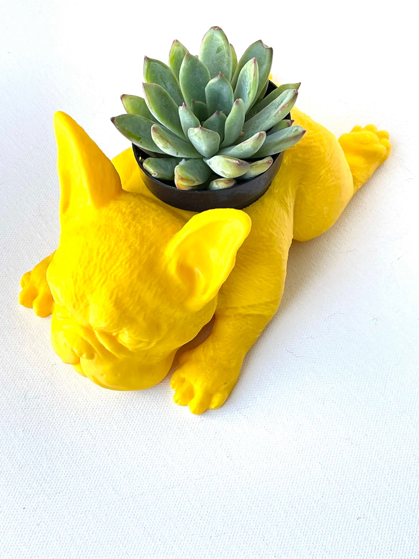 French Bulldog Planter