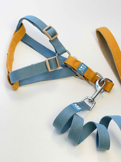 Dog Harness and Leash Set