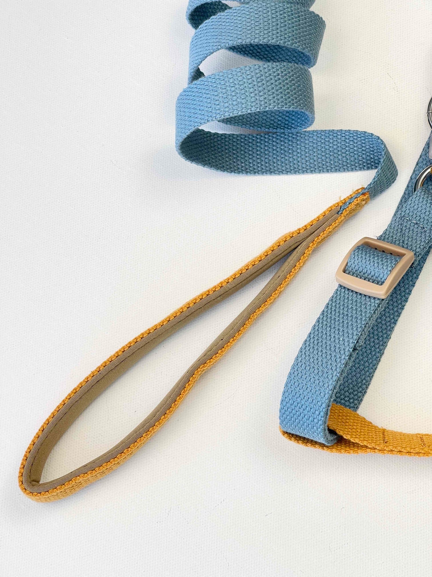 Dog Harness and Leash Set