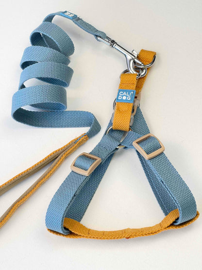 Dog Harness and Leash Set