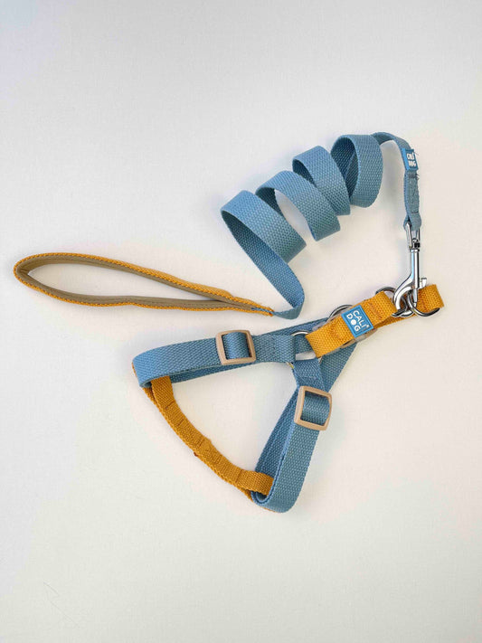 Dog Harness and Leash Set