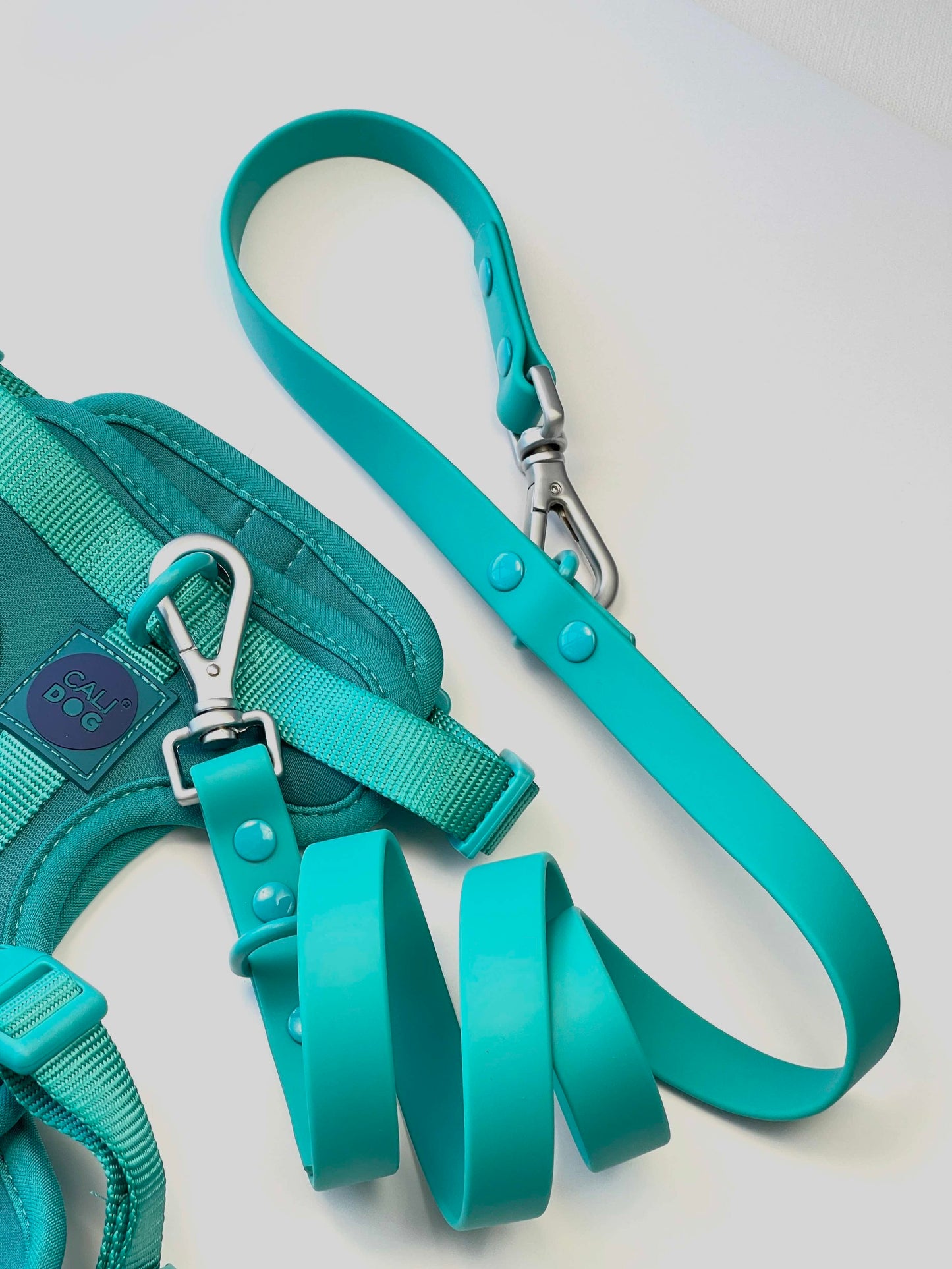 Comfort Dog Harness and Leash Set