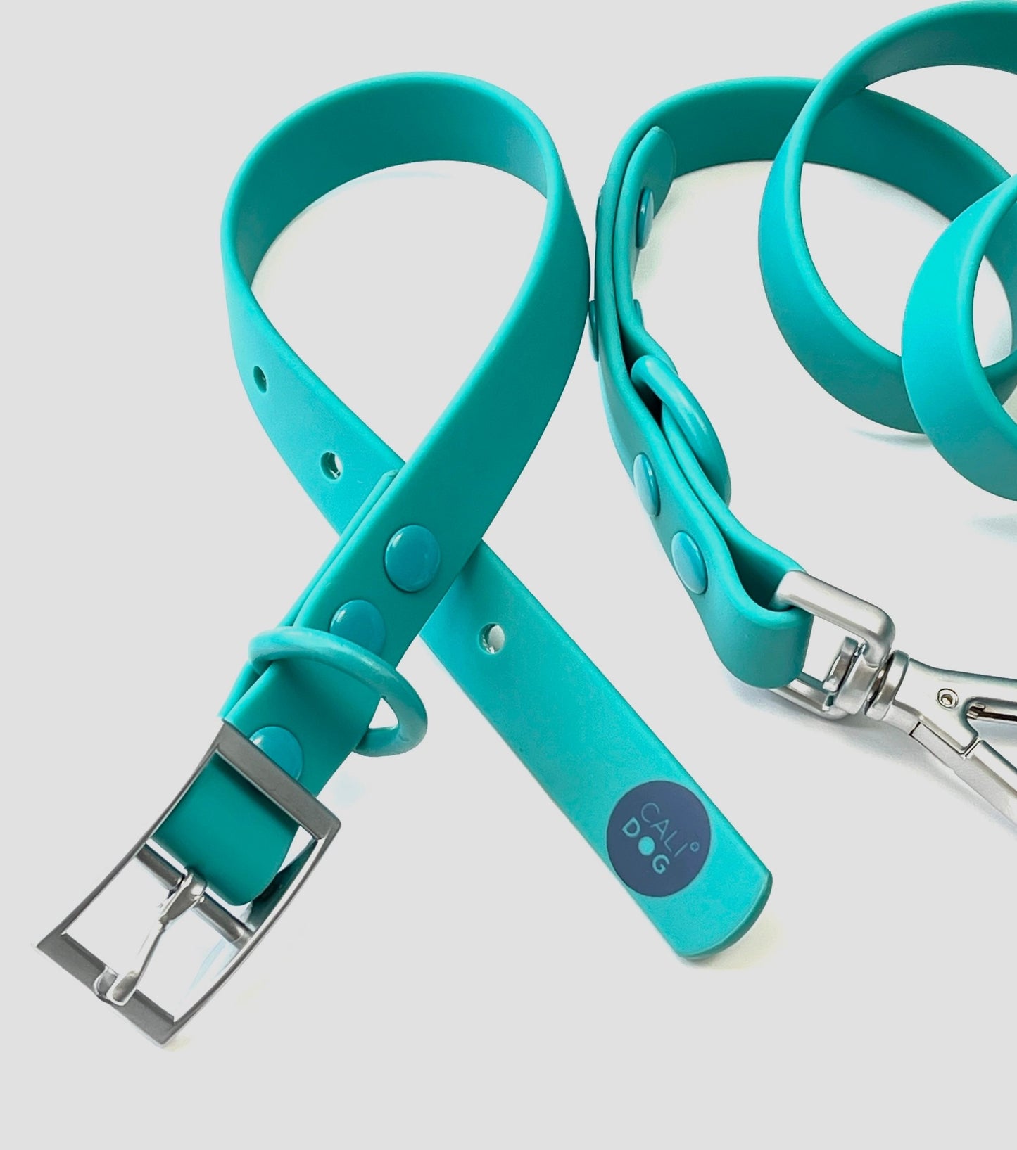 Teal Waterproof Dog Collar