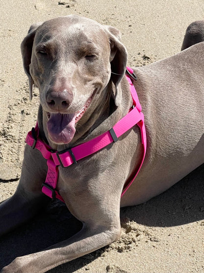 Pink Waterproof Dog Harness