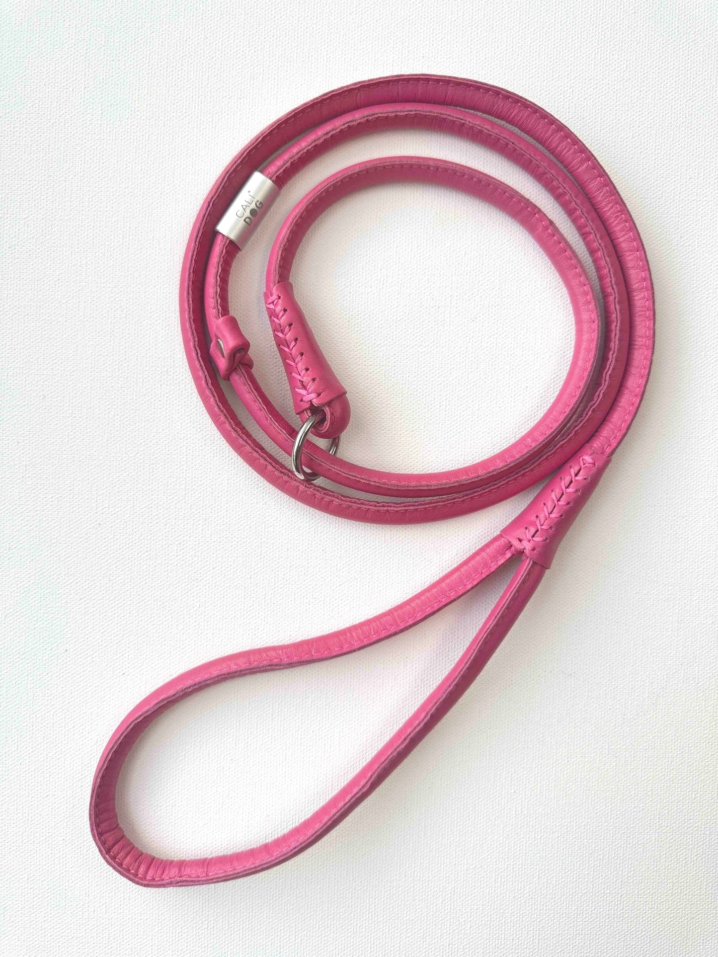 Dog Slip-Leash