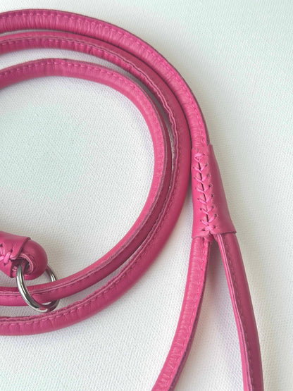 Pink Dog Slip-Leash