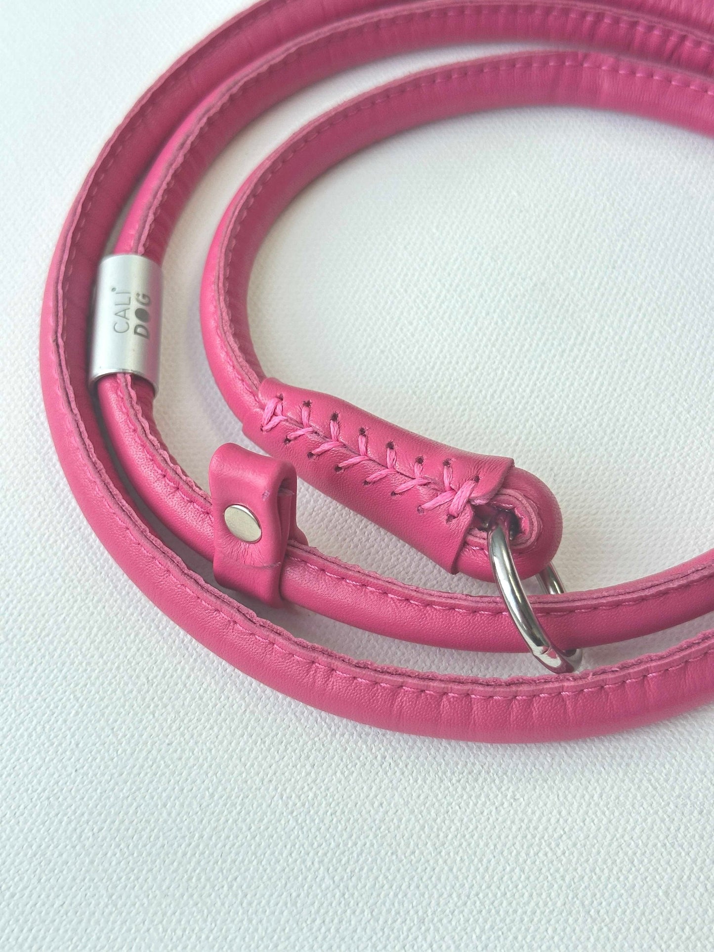 Dog Slip-Leash