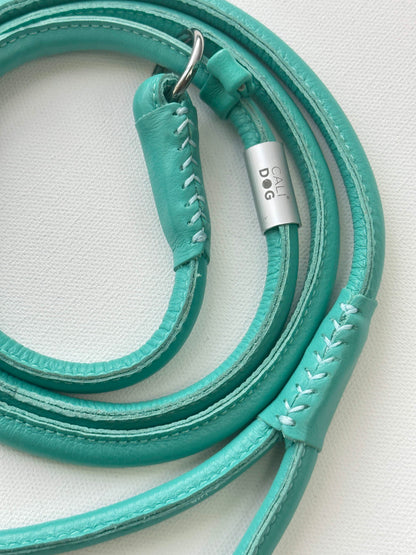 Mint Dog Slip-Leash