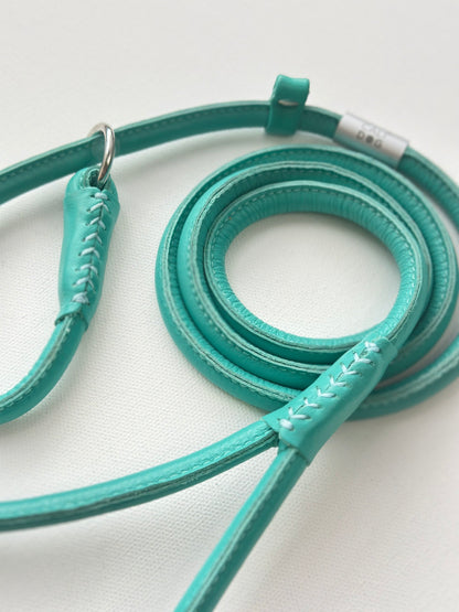 Mint Dog Slip-Leash