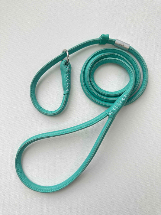 Mint Dog Slip-Leash