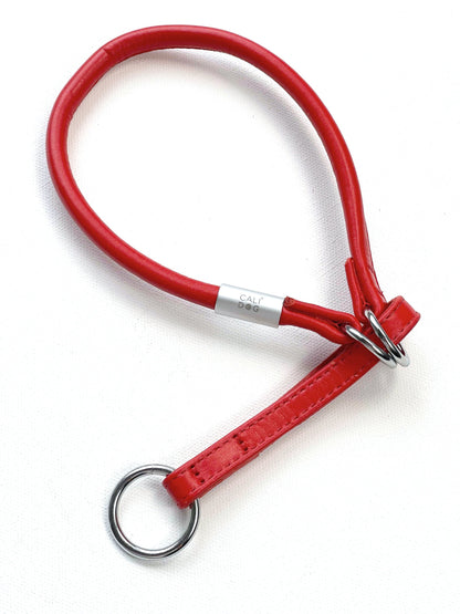 Red Martingale Dog Collar