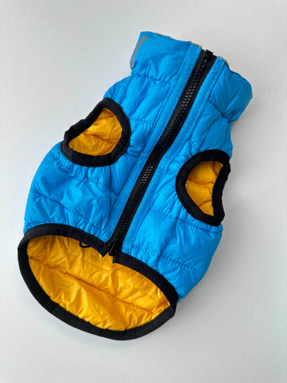 Blue & Yellow Dog Jacket