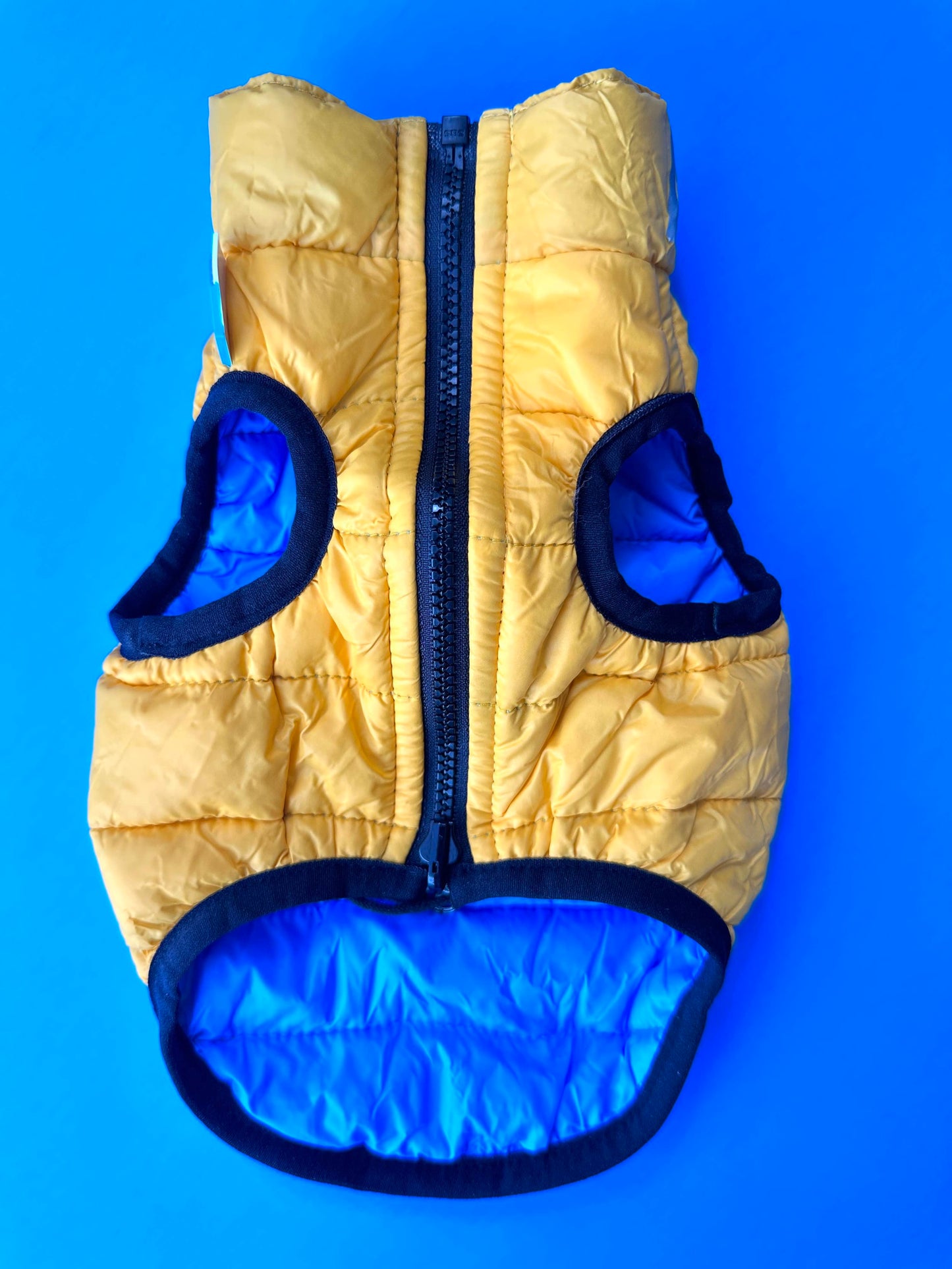 Blue & Yellow Dog Jacket