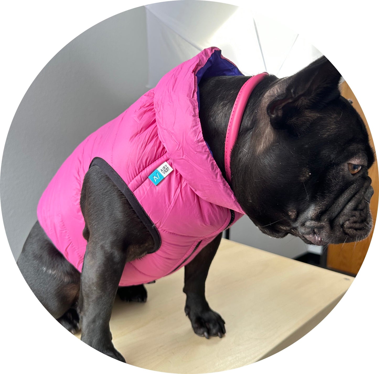 Pink Dog Jacket