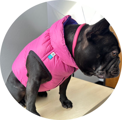 Pink Dog Jacket