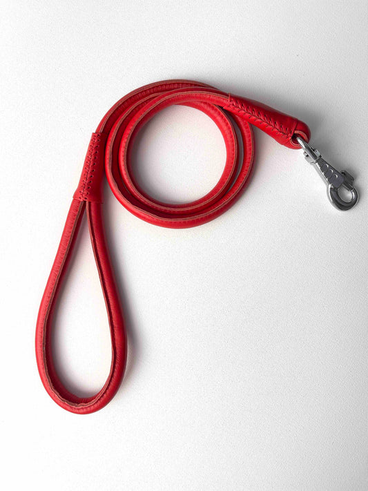 Rolled Leather Dog Leash