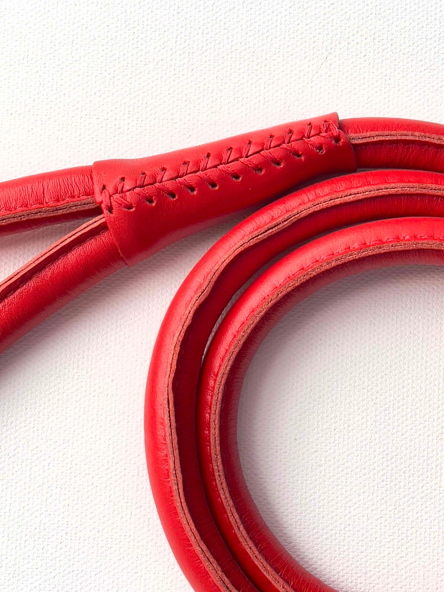 Rolled Leather Dog Leash