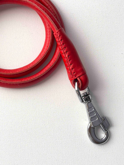 Rolled Leather Dog Leash