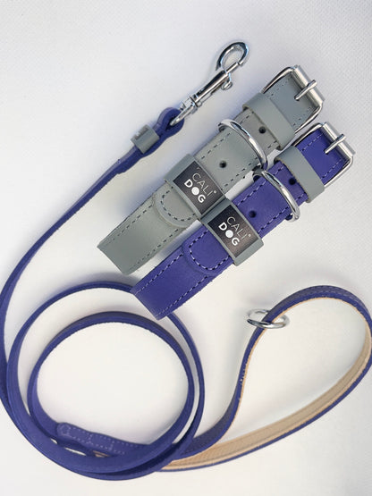 Classic Purple Dog Collar and Leash Set