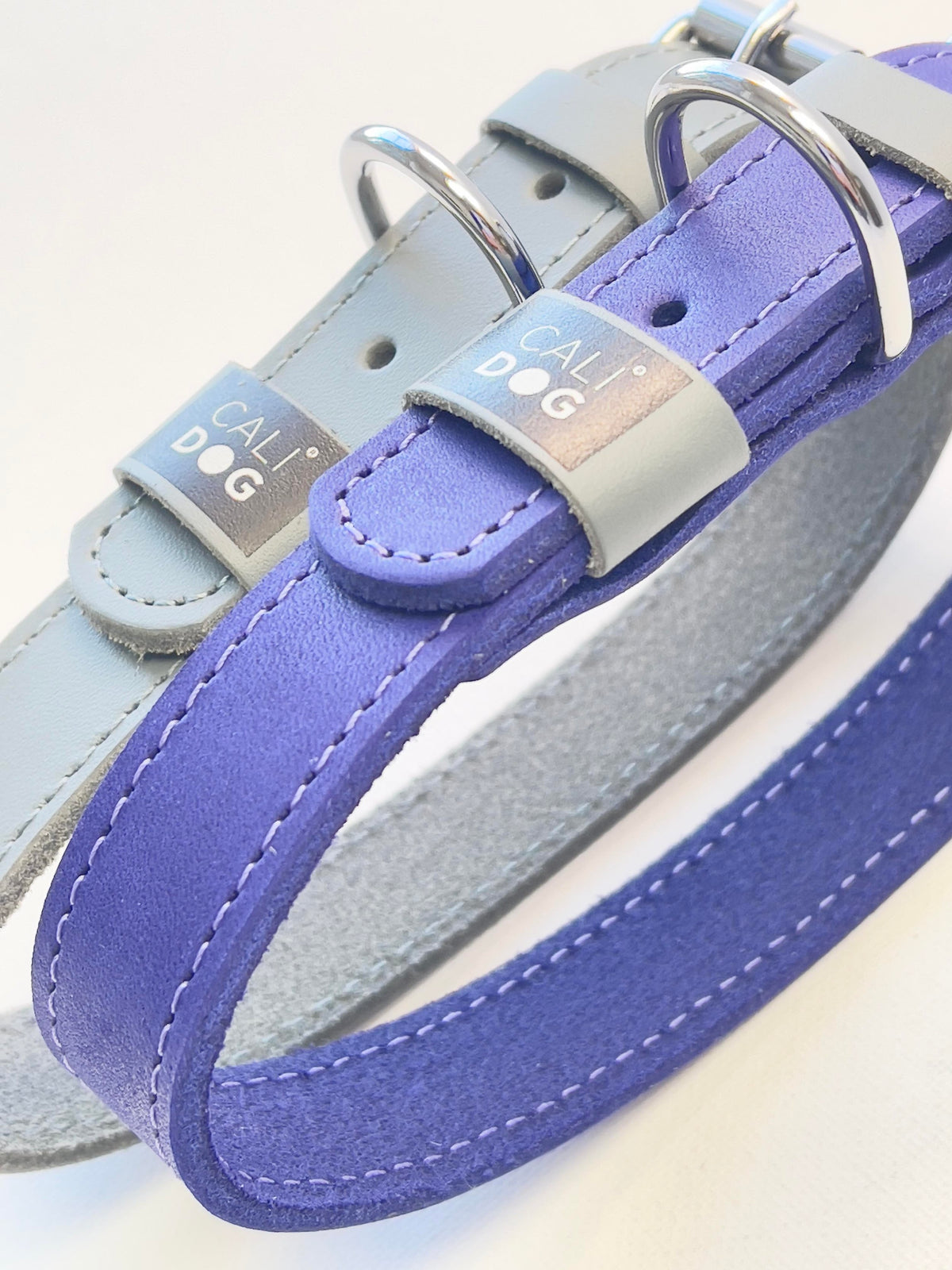 Colladog Classic Leather Dog Collar – CALIDOG
