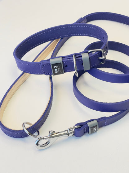 Classic Purple Dog Collar and Leash Set