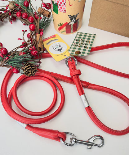 Red Rolled Leather Dog Leash