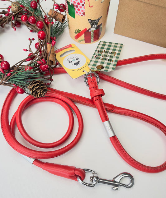 Red Rolled Leather Dog Leash